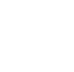 LIMFF_SPECIAL_MENTION white