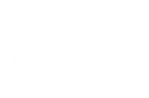 BEST_EXPERIMENTAL_-_Paris_Film_Awards_________________________
